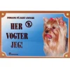 Her vogter jeg skilt med Yorkshire Terrier