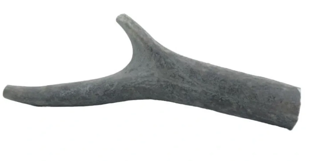Hjorte Gevir Small 50-75 g - Naturligt tyggeben til hunde