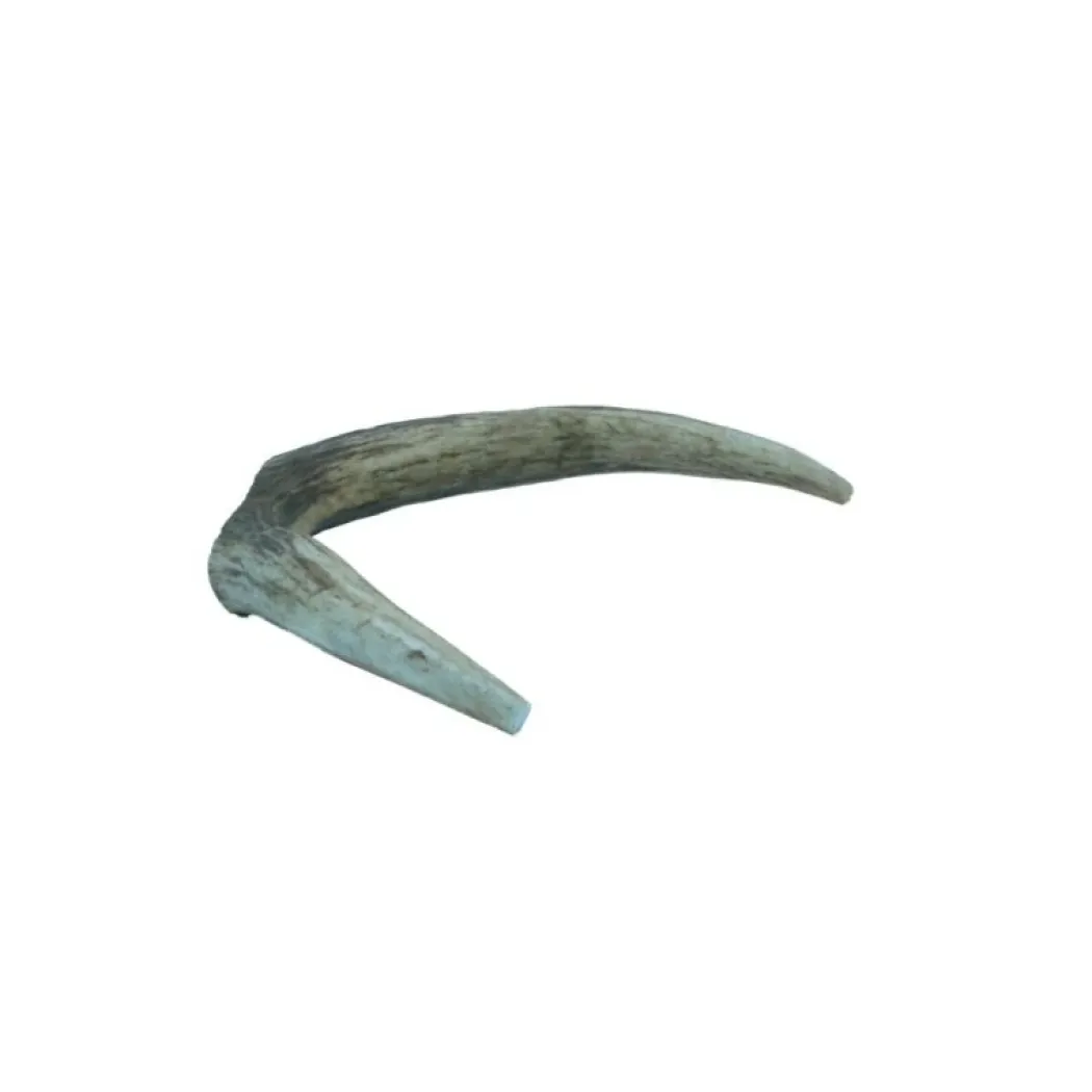 Hjorte Gevir Small 50-75 g - Naturligt tyggeben til hunde