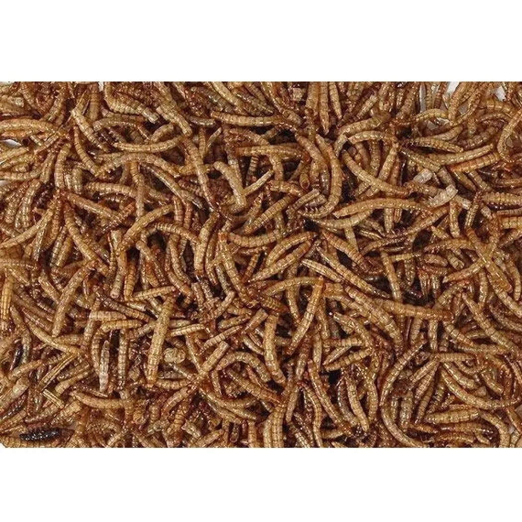 Hobby First Melorme tørret300 g til vildtfugle