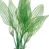 Hobby Aponogeton 16 cm