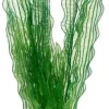 Hobby Aponogeton 39 cm