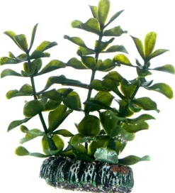 Hobby Bacopa 7 cm