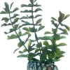 Hobby Bacopa 13 cm