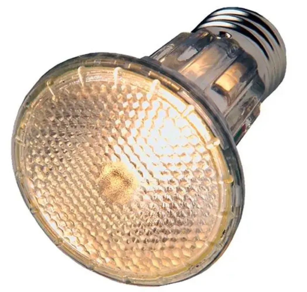 Hobby Diamond Halogen Floodlight 100 watt