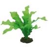 Hobby Echinodrus 20 cm
