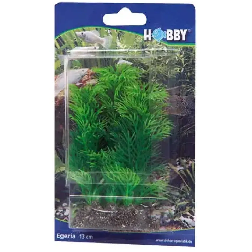 Hobby Egeria 13 cm
