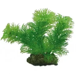 Hobby Egeria 13 cm