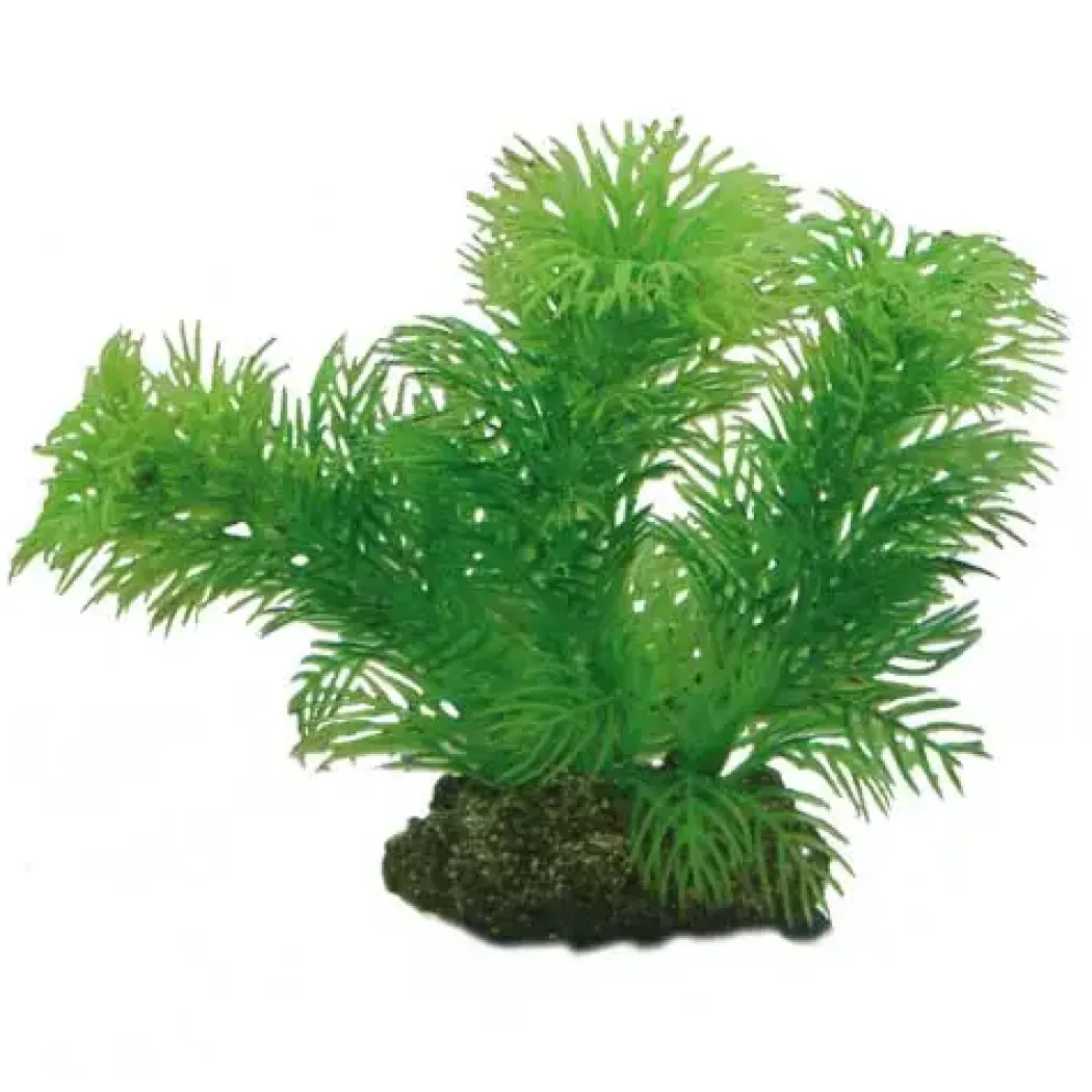 Hobby Egeria 13 cm