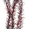 Hobby Eusteralis 39 cm