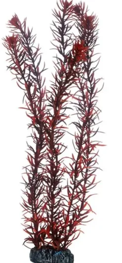 Hobby Eusteralis 39 cm