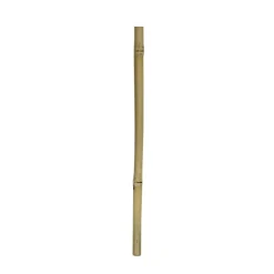 Hobby Gul bambus 50 cm Ø 2 - 3 cm.