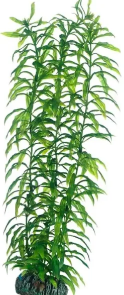 Hobby Heteranthera 34 cm