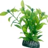 Hobby Hygrophila 20 cm