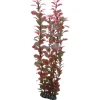 Hobby Ludwiga 34 cm