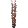 Hobby Ludwiga 60 cm