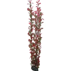 Hobby Ludwiga 60 cm