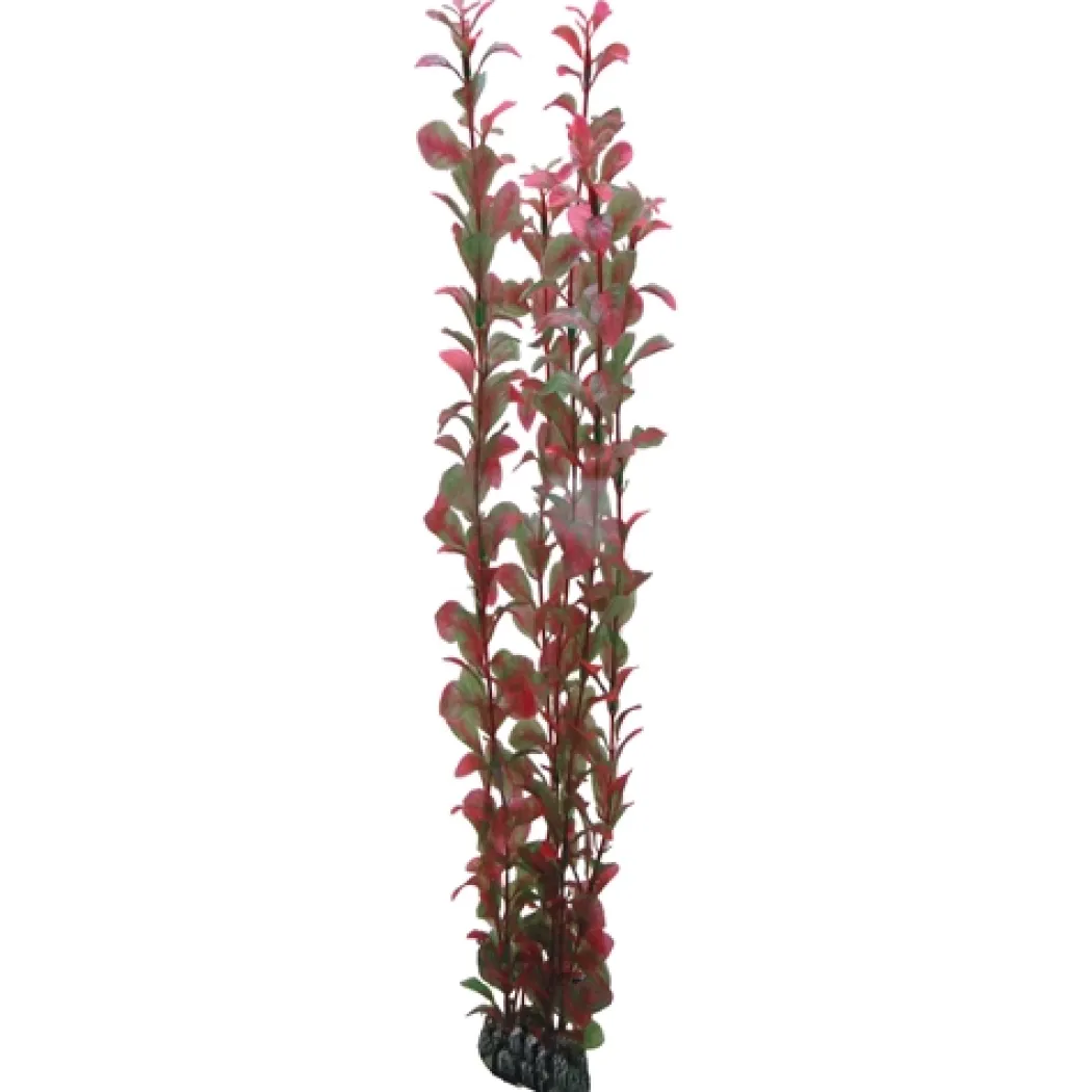 Hobby Ludwiga 60 cm
