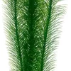 Hobby Mayaca 25 cm