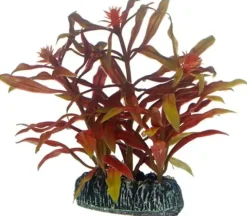Hobby Nesaea 7 cm
