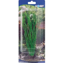 Hobby Sagittaria 20 cm