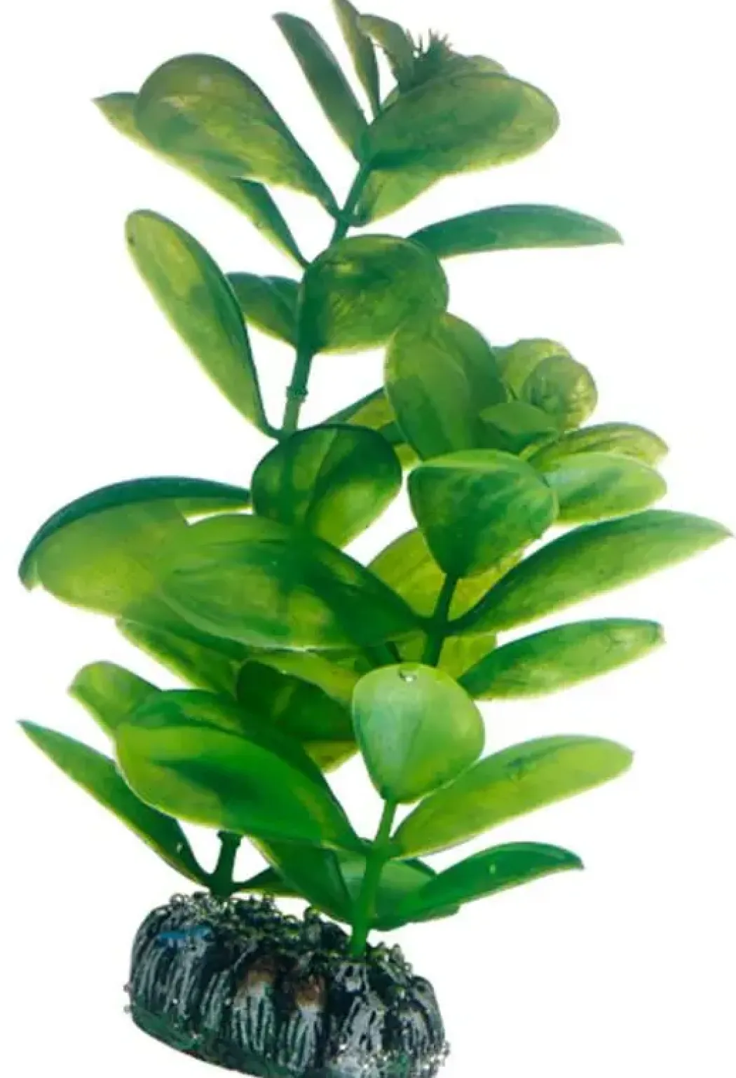 Hobby Saururus 16 cm