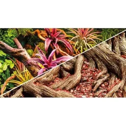 Hobby Terrariebaggrund 100x60 cm Colorful Jungle / Strangler Fig