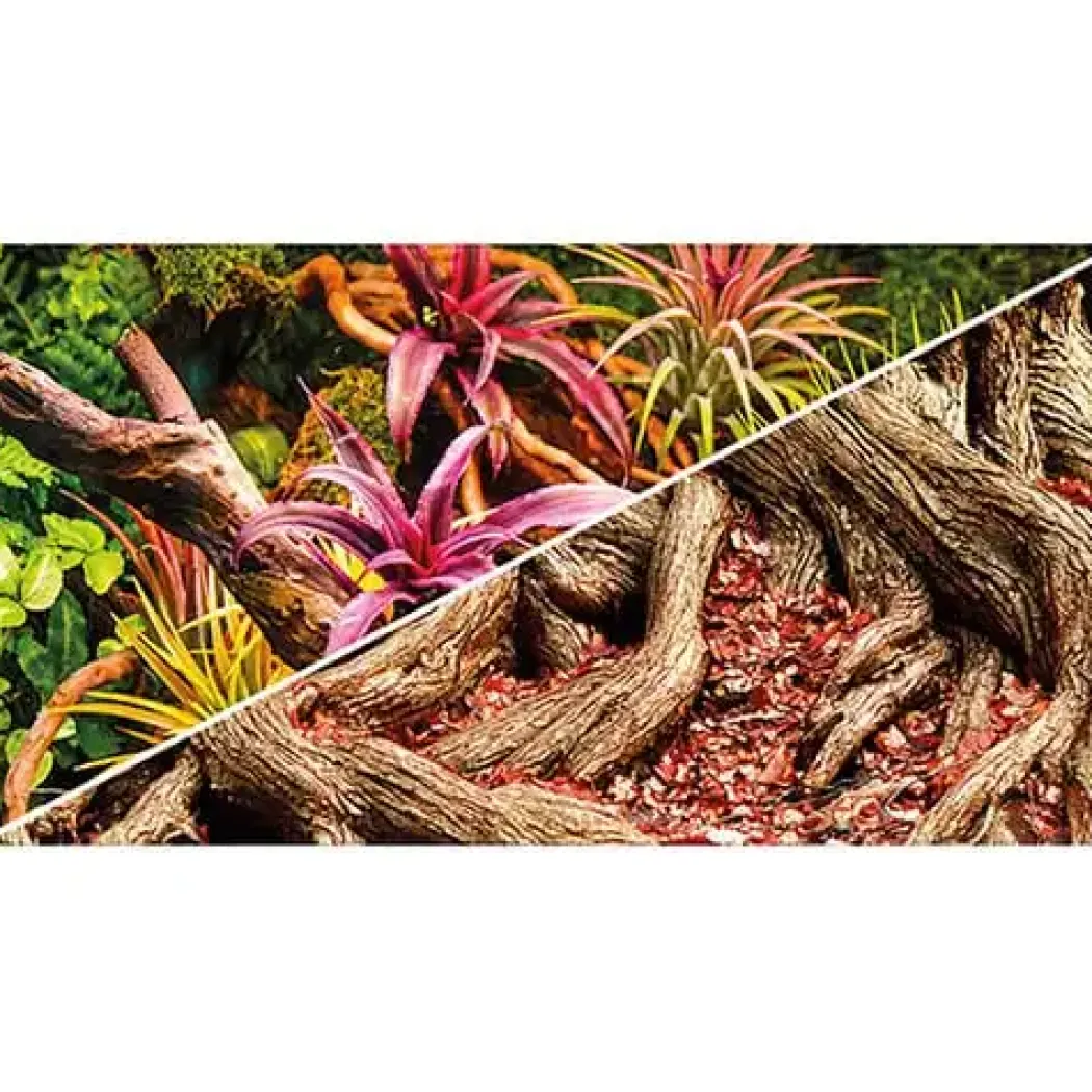 Hobby Terrariebaggrund 100x60 cm Colorful Jungle / Strangler Fig