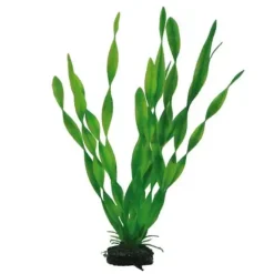 Hobby Vallisneria 34 cm
