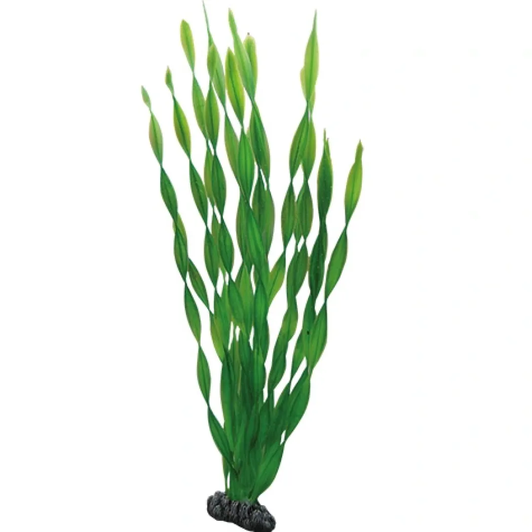 Hobby Vallisneria 46 cm
