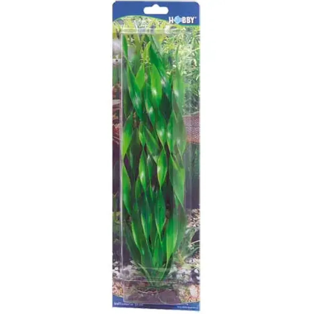 Hobby Vallisneria 46 cm