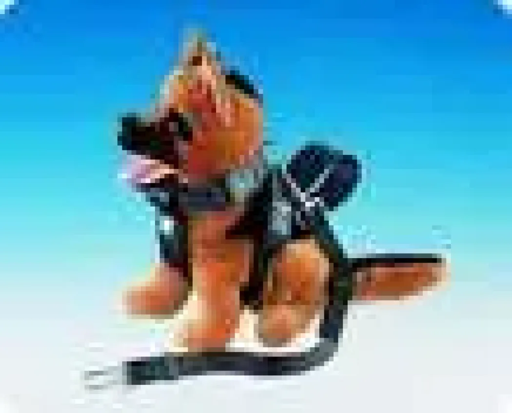 Hundesele til små hunde til bilkørsel - sikker og komfortabel transport