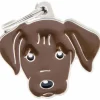 Hundetegn My family Friends Labrador brun