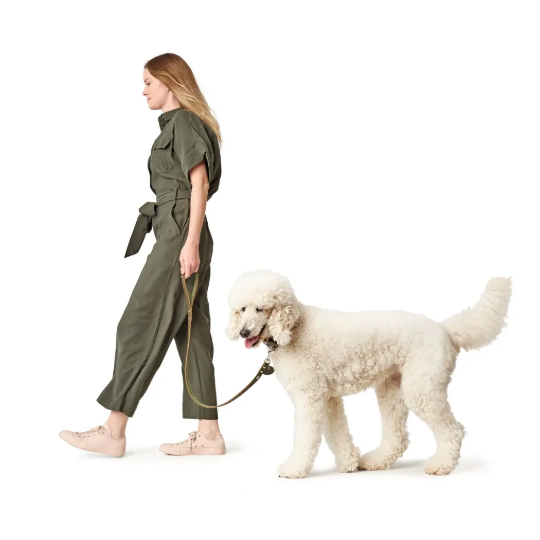 Hunter Aalborg Førerline til Hund Oliven 20/100