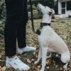 Hunter Aalborg Førerline til Hund Mørkebrun 16/100