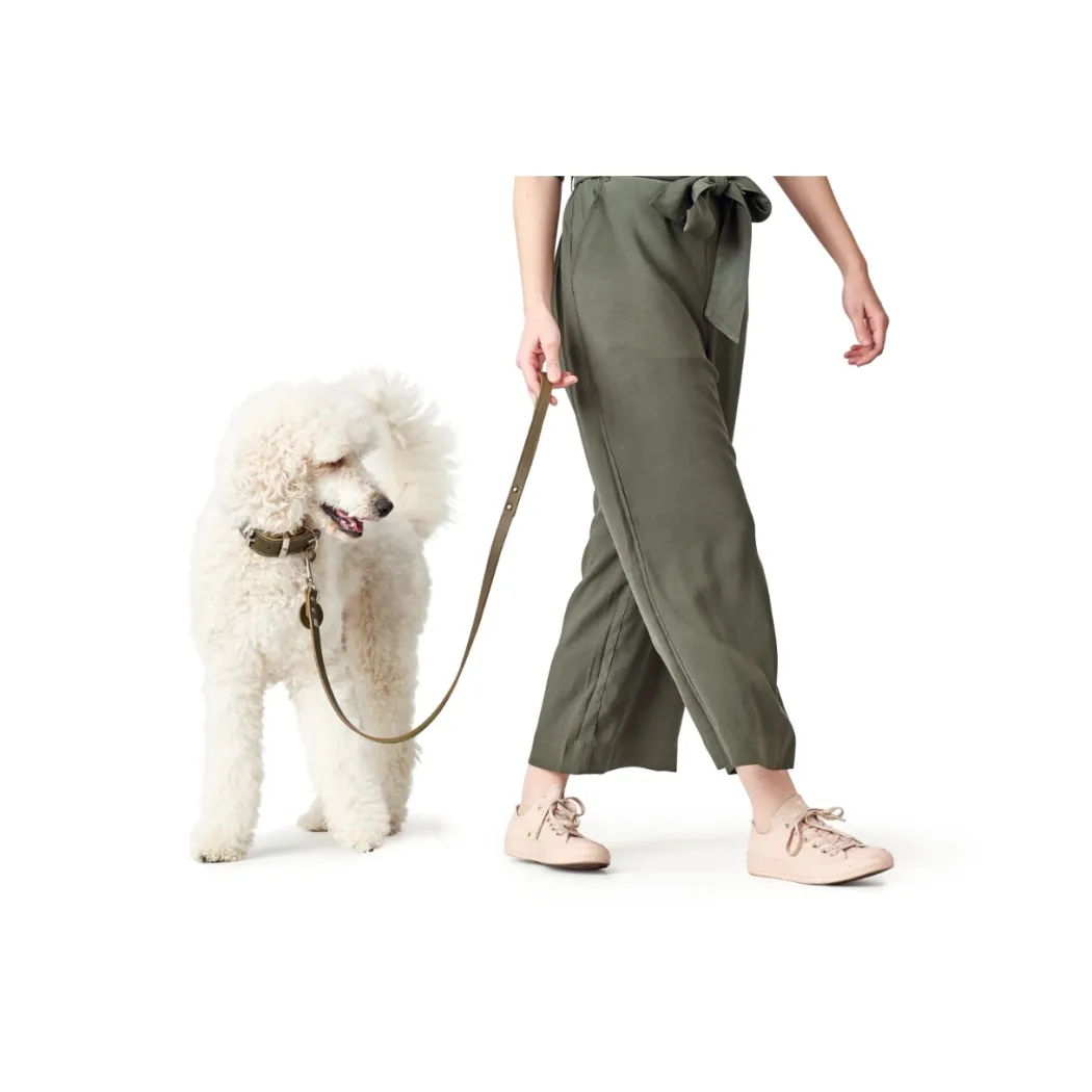 Hunter Aalborg Førerline til Hund Oliven 16/100