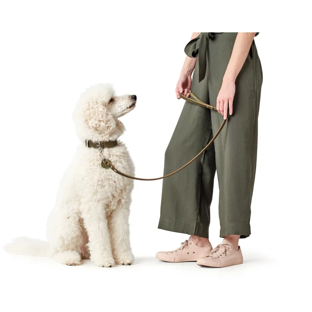 Hunter Aalborg Førerline til Hund Oliven 13/110