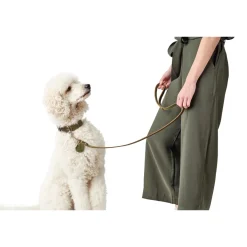Hunter Aalborg Førerline til Hund Oliven 13/110