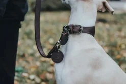 Hunter Aalborg Førerline til Hund Mørkebrun 13/110