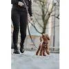 Hunter Aalborg Hundeline Mørkebrun 20/250