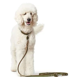 Hunter Aalborg Hundesnor Oliven 16/200