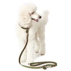 Hunter Aalborg Hundesnor Oliven 16/200