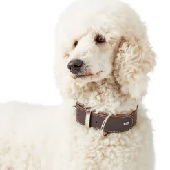 Hunter Aalborg Special Hundehalsbånd Brun 45 - 30-38 cm
