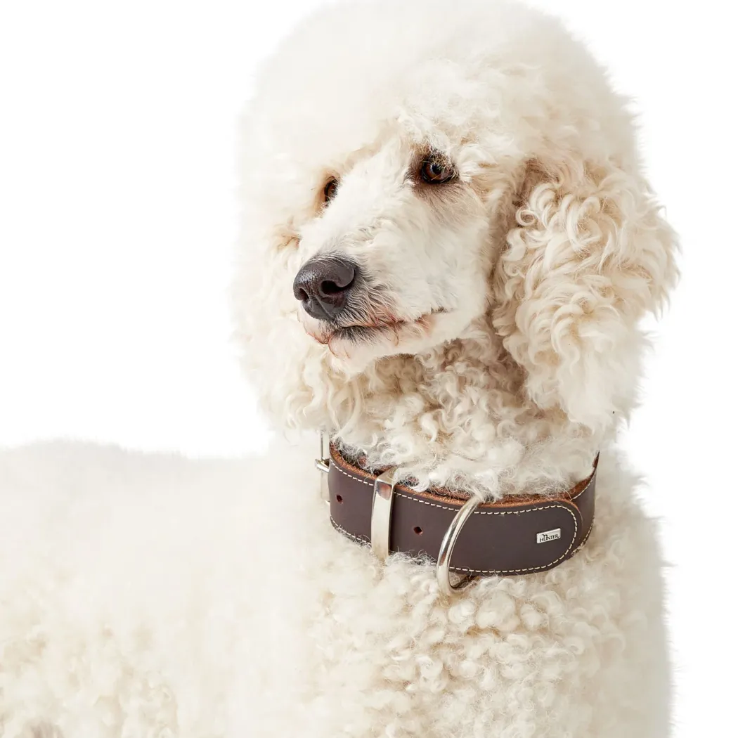 Hunter Aalborg Special Hundehalsbånd Brun 45 - 30-38 cm