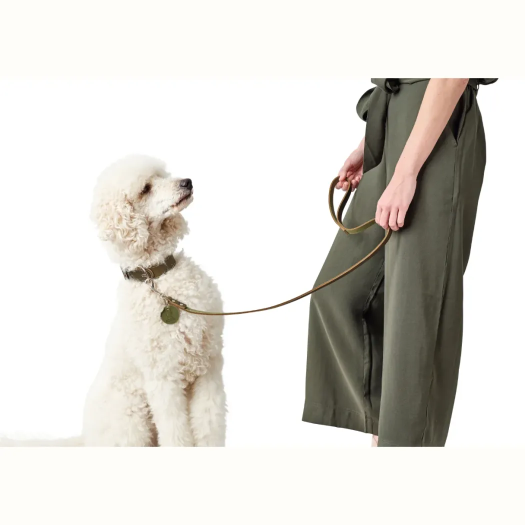 Hunter Aalborg Sport Oliven 37 hundehalsbånd - 28-33 cm