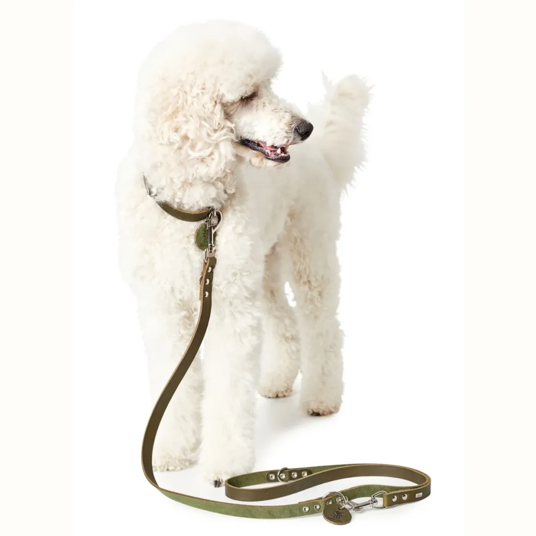 Hunter Aalborg Sport Oliven 37 hundehalsbånd - 28-33 cm