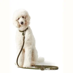 Hunter Aalborg Sport Oliven 37 hundehalsbånd - 28-33 cm