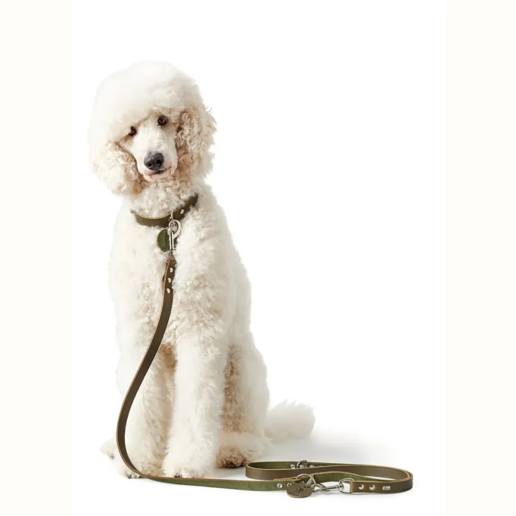 Hunter Aalborg Sport Oliven 37 hundehalsbånd - 28-33 cm