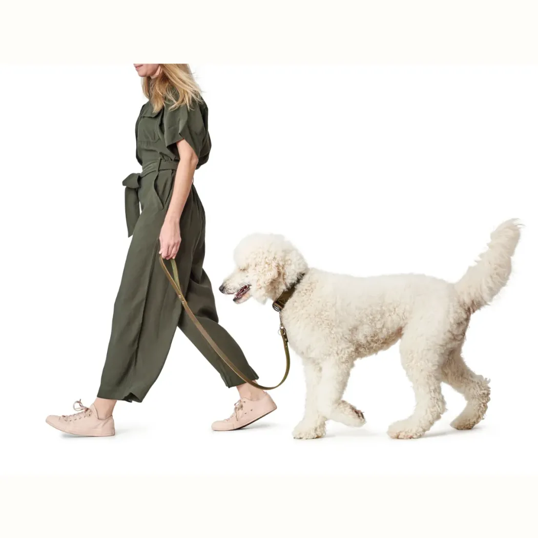 Hunter Aalborg Sport Oliven 37 hundehalsbånd - 28-33 cm