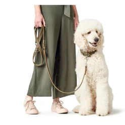 Hunter Aalborg Sport Oliven 42 hundehalsbånd - 32-38 cm